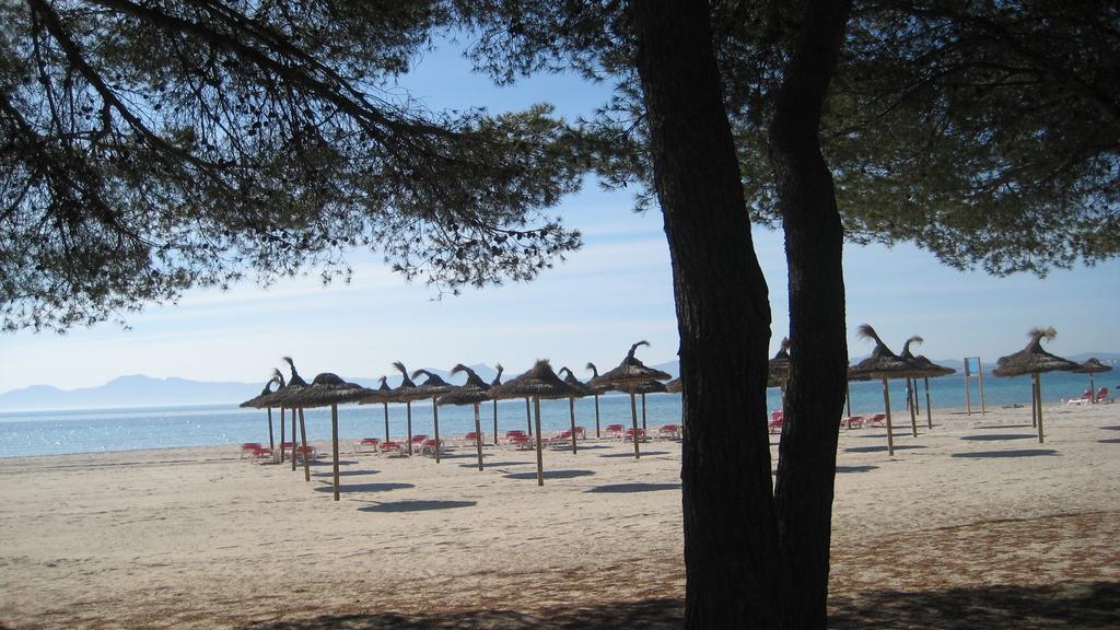Beach Apartment Minerva Port de Alcudia  Camera foto